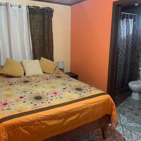 Monteverde Monkey Hostel 외부 사진