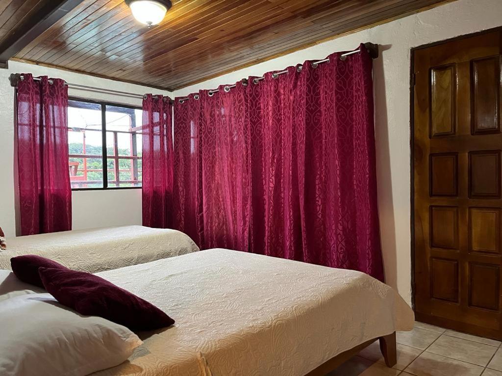 Monteverde Monkey Hostel 외부 사진