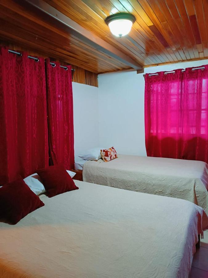 Monteverde Monkey Hostel 외부 사진