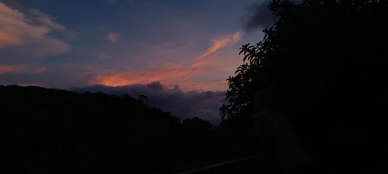 Monteverde Monkey Hostel 외부 사진