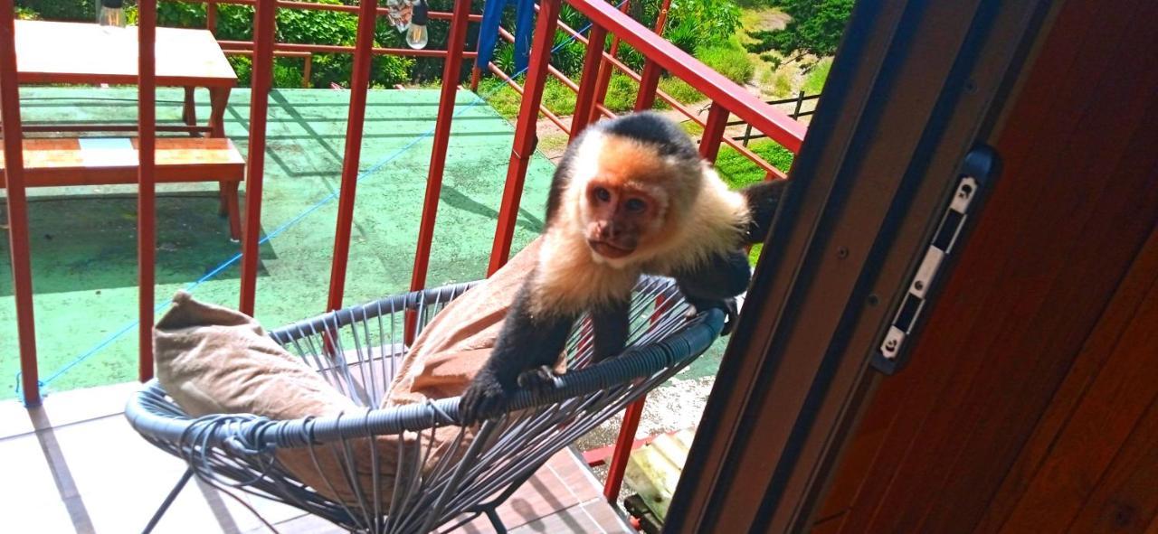 Monteverde Monkey Hostel 외부 사진